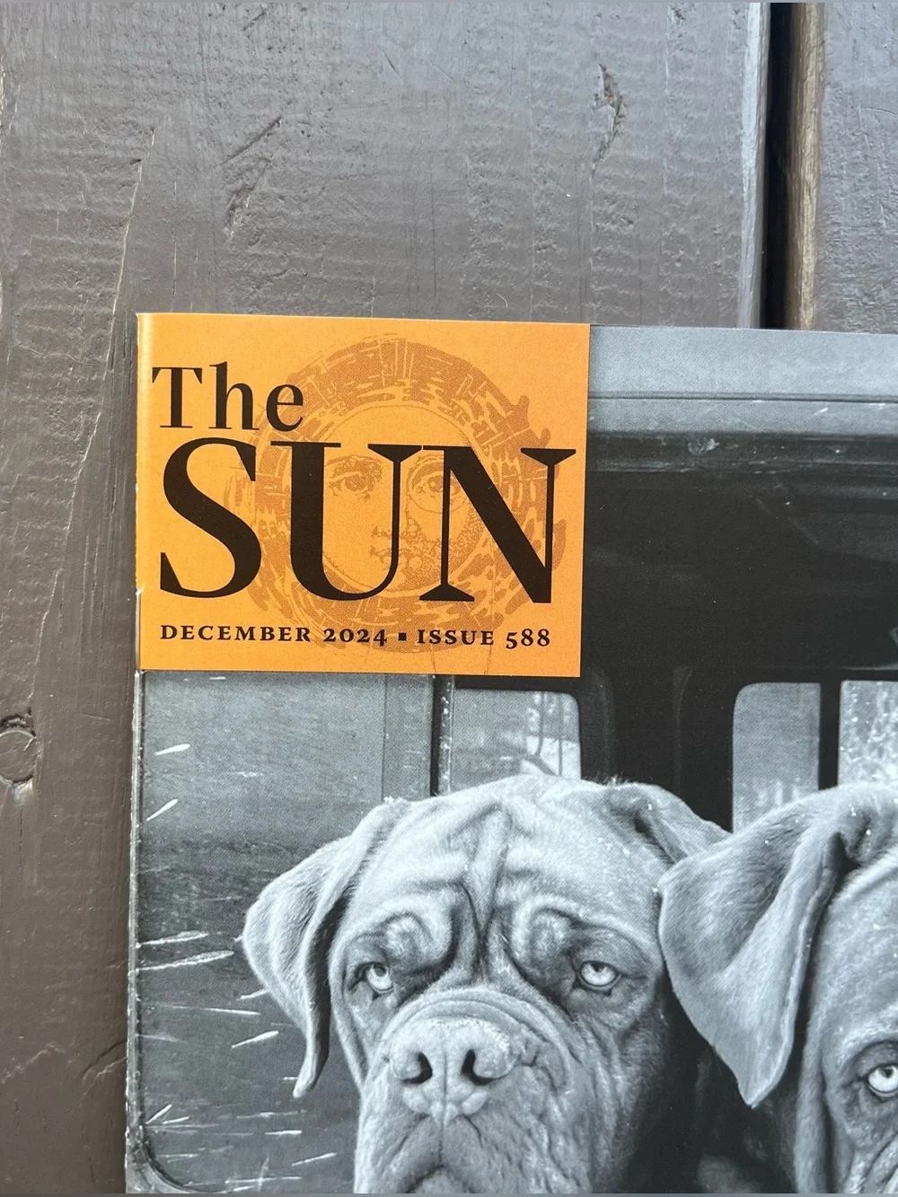 The Sun Magazine December 2024 Issue 588 French Mastiff Dogs Wind Phones New